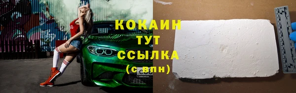 МДПВ Чекалин