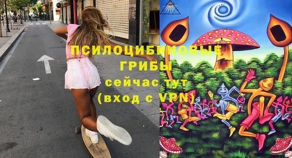 МДПВ Чекалин