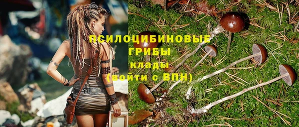 спайс Чегем